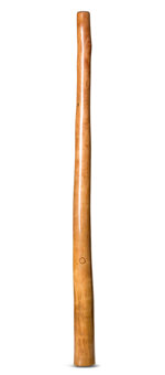 CrookedStixz Didgeridoo (AH359)